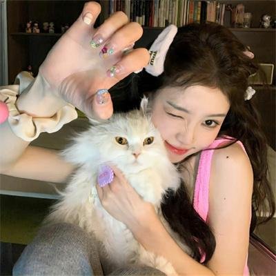 我的老婆是只猫